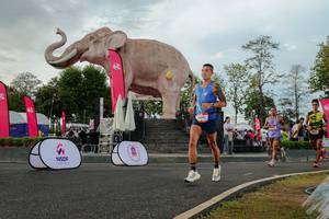 BIB: 
                            <button type="button" onclick="openModal(26528473)" class="btn btn-primary btn-sm float-right btn-popup" data-toggle="modal" data-target=".modal-high-quality">
                        <i class="fas fa-shopping-cart"></i> Add to Cart
                    </button>
                                            <button type="button" onclick="isThisMe(26528473, true)" class="btn btn-success btn-sm float-right btn-popup btn-isme hidden" data-toggle="tooltip" data-placement="bottom" title="นี่คือรูปของคุณใช่ไหม คลิกที่นี่เพื่อเอาเข้าอัลบั้ม">
                        <i class="fas fa-plus"></i> Add to album
                    </button>
                    <button type="button" onclick="isThisMe(26528473, false)" class="btn btn-warning btn-sm float-right btn-popup btn-isnotme hidden">
                        <i class="fas fa-ban"></i> Remove from album
                    </button>